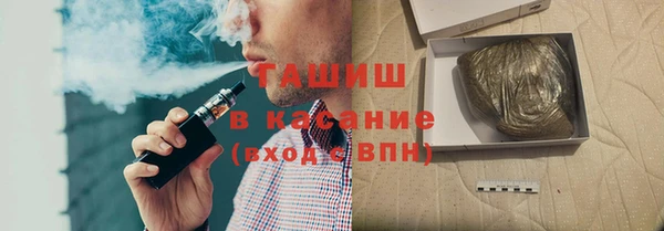сатива Балахна