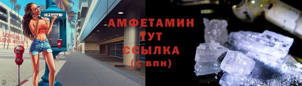 сатива Балахна