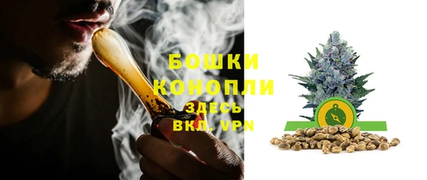 сатива Балахна