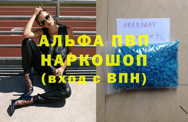 сатива Балахна