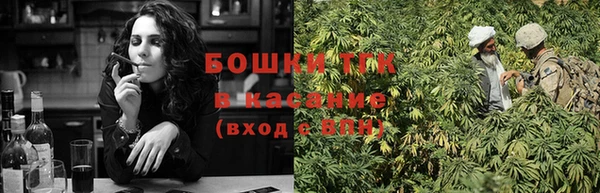 сатива Балахна