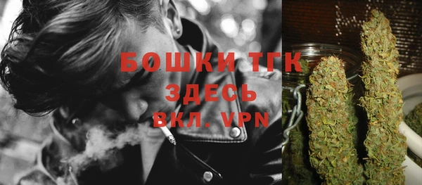 сатива Балахна