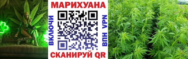 Конопля Bruce Banner  Чехов 